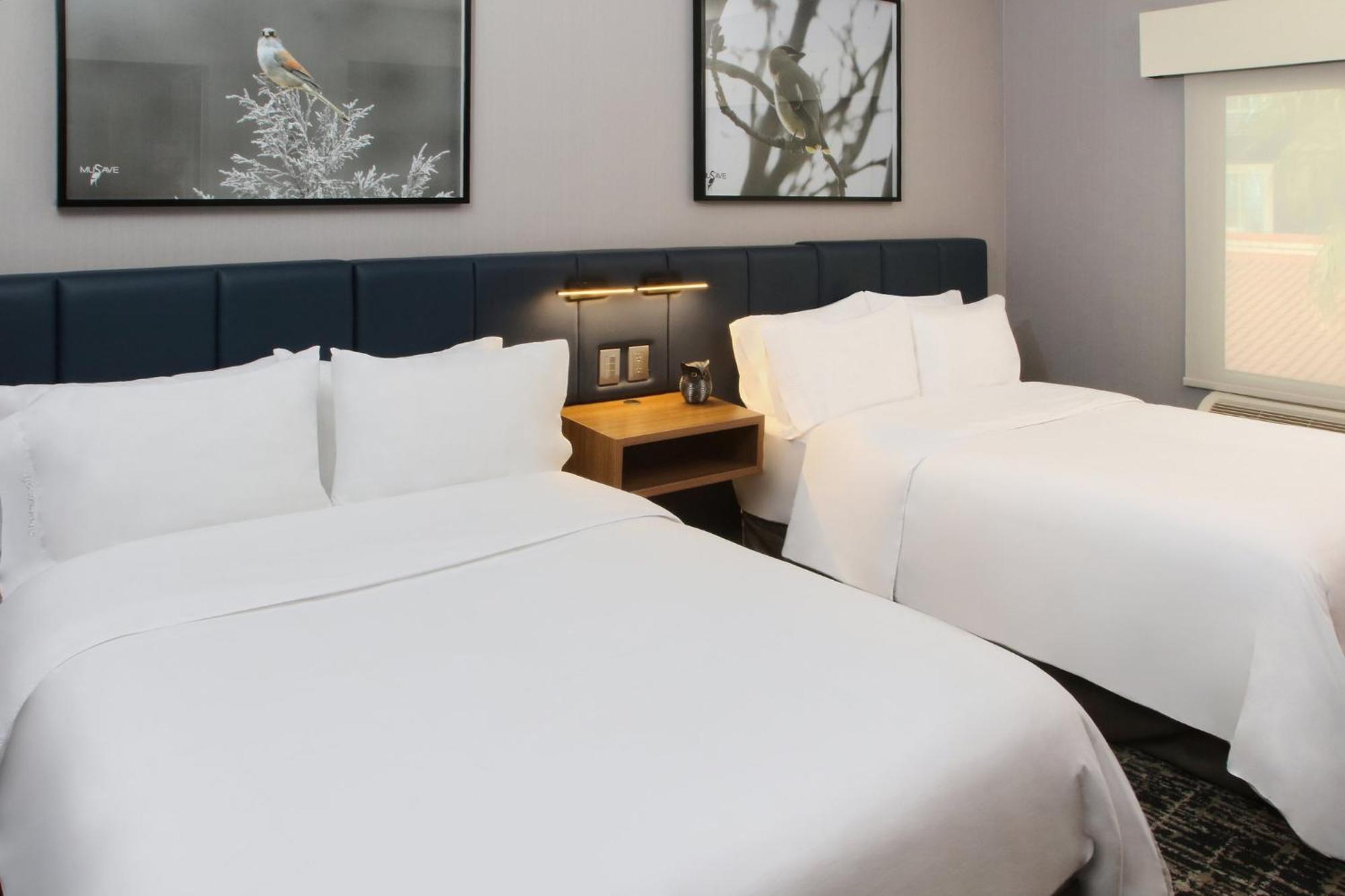Voco Saltillo Suites By Ihg ภายนอก รูปภาพ